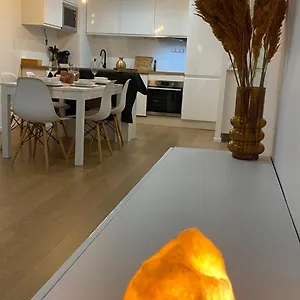 And Cosy Flat Near Geneva Or Annecy , Bellegarde-sur-Valserine France